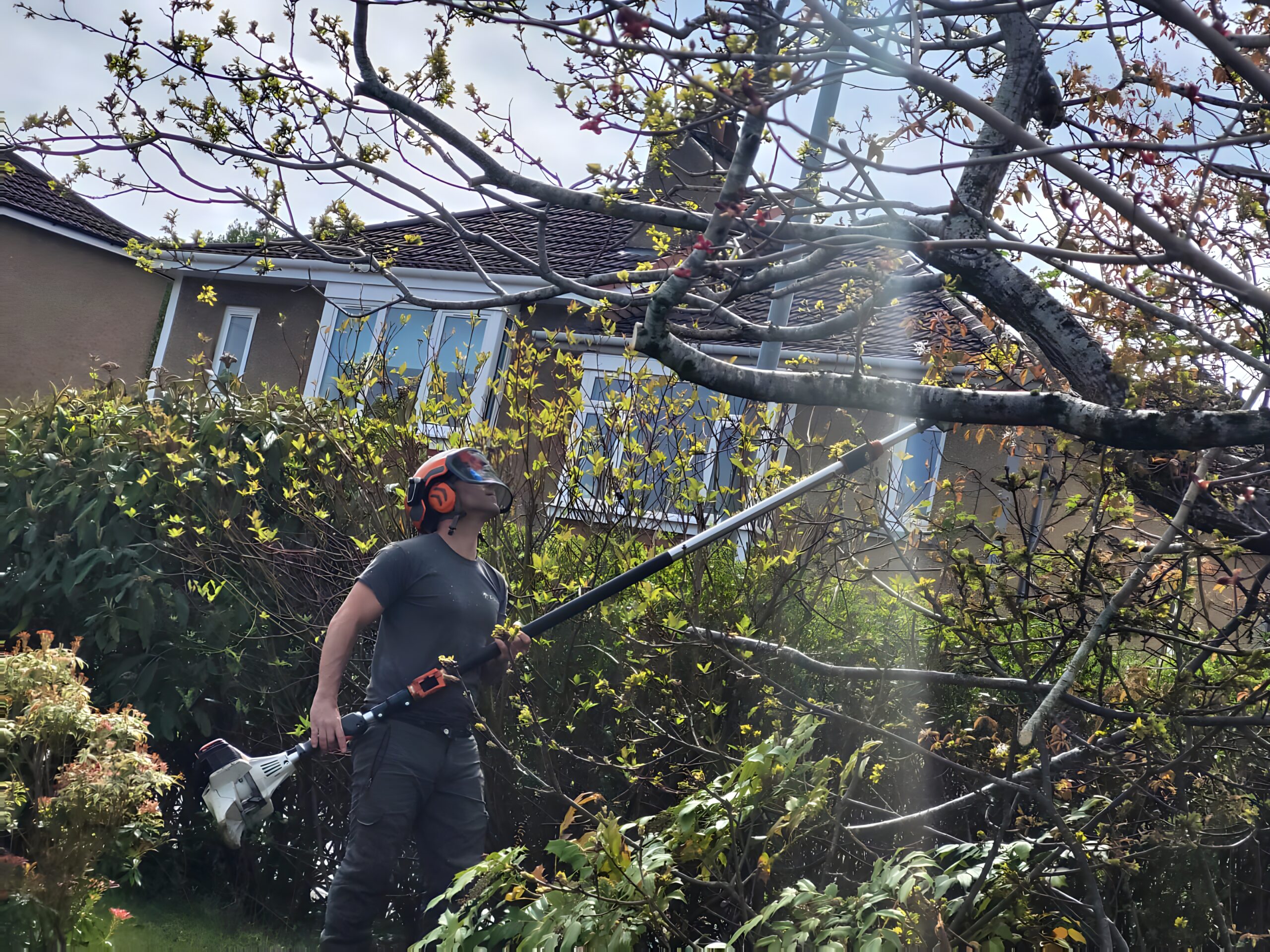 GlasGrow Tree Surgeons: Your Trusted Arborists in Glasgow, Scotland