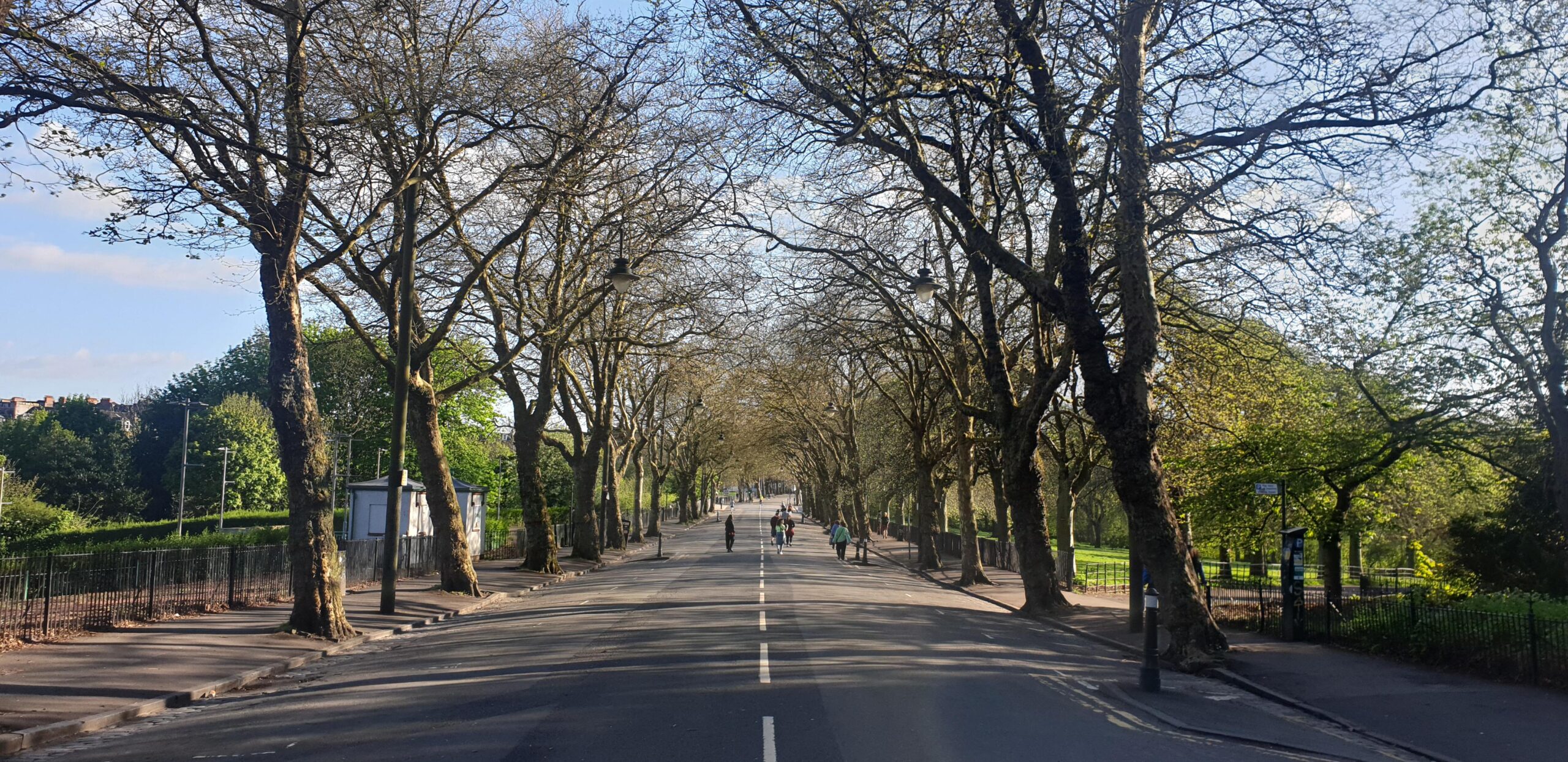 tree lined street in Glasgow